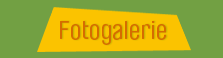 Fotogalerie