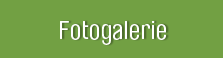 Fotogalerie