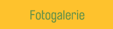 Fotogalerie