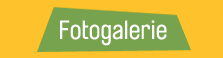 Fotogalerie