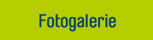 Fotogalerie