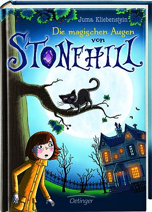 Buchcover "Die magischen Augen von Stonehill"